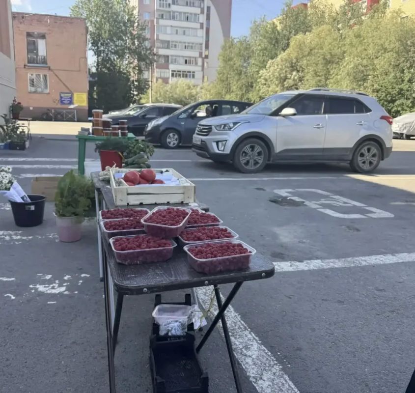 Рейды по выявлению незаконной торговли проходят в Сургуте Рейды по выявлению незаконной торговли проходят в Сургуте