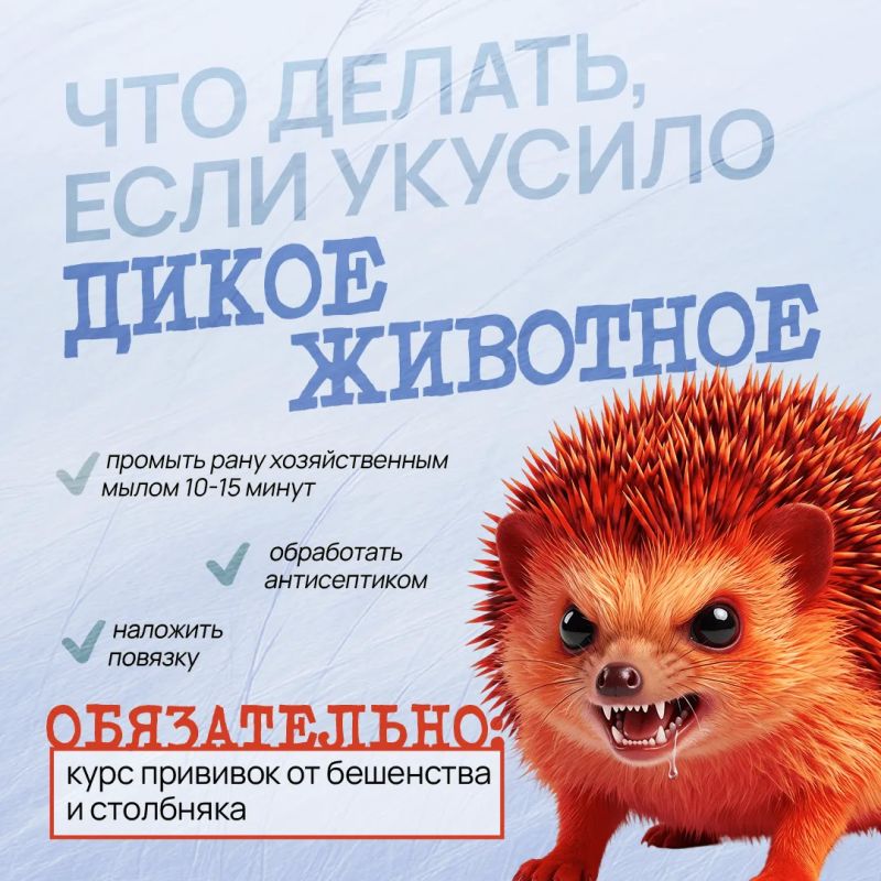 Что делать при укусах животных и насекомых Что делать при укусах животных и насекомых