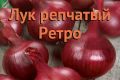 Лук Ретро: популярность среди дачников