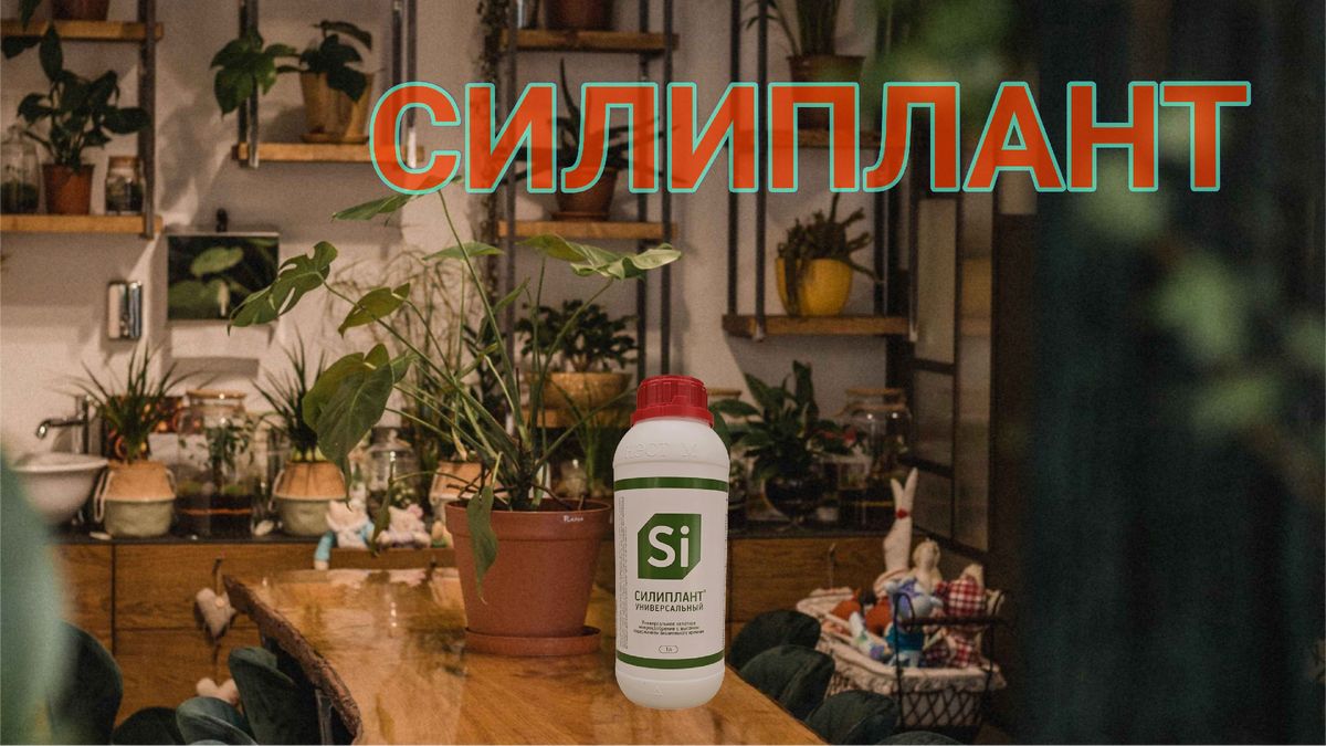 Силиплант: полезное удобрение или лишь миф?