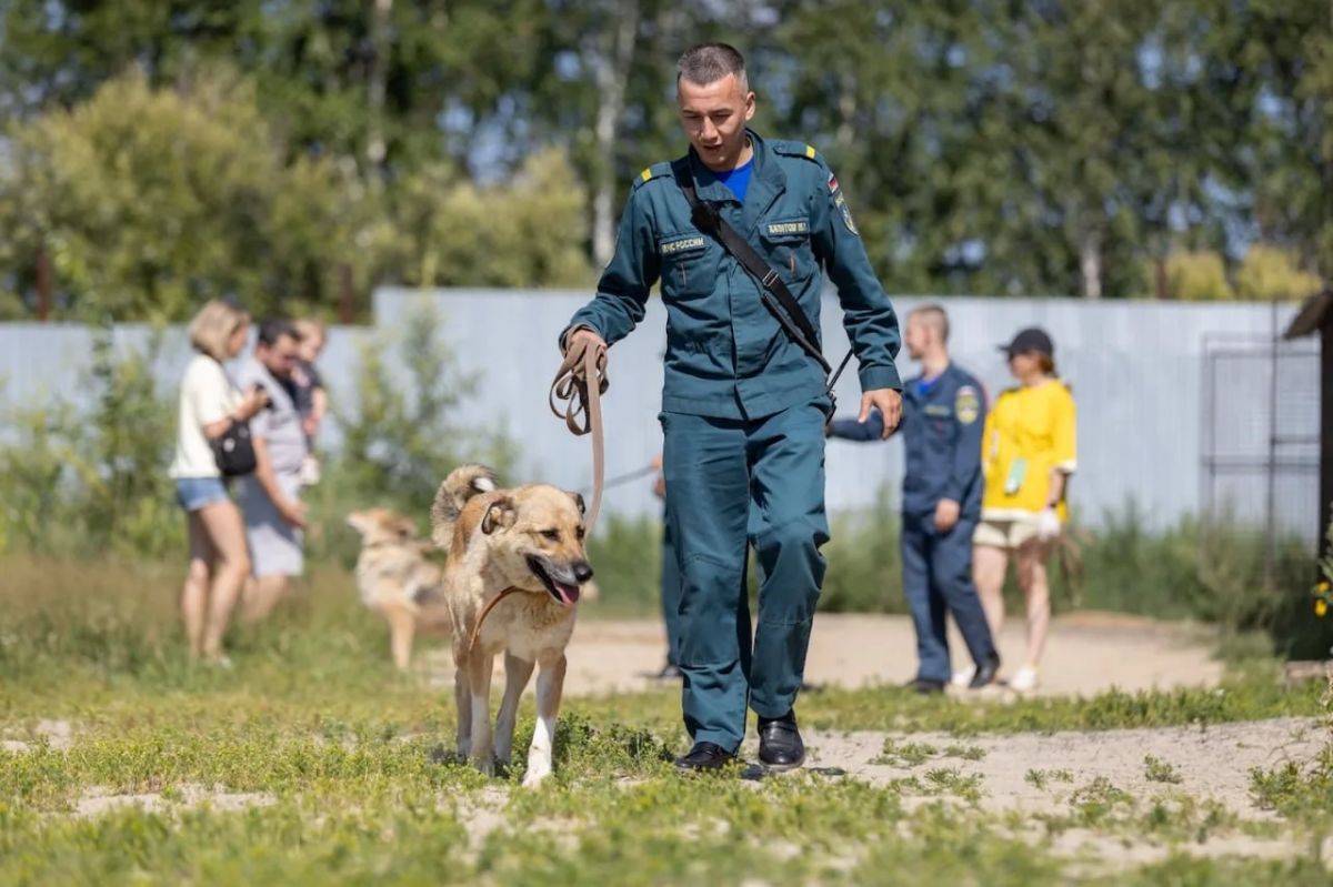 В Сургуте спасатели провели генеральную уборку в приюте для собак В Сургуте спасатели провели генеральную уборку в приюте для собак