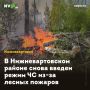 В Нижневартовском районе снова введен режим ЧС из-за лесных пожаров