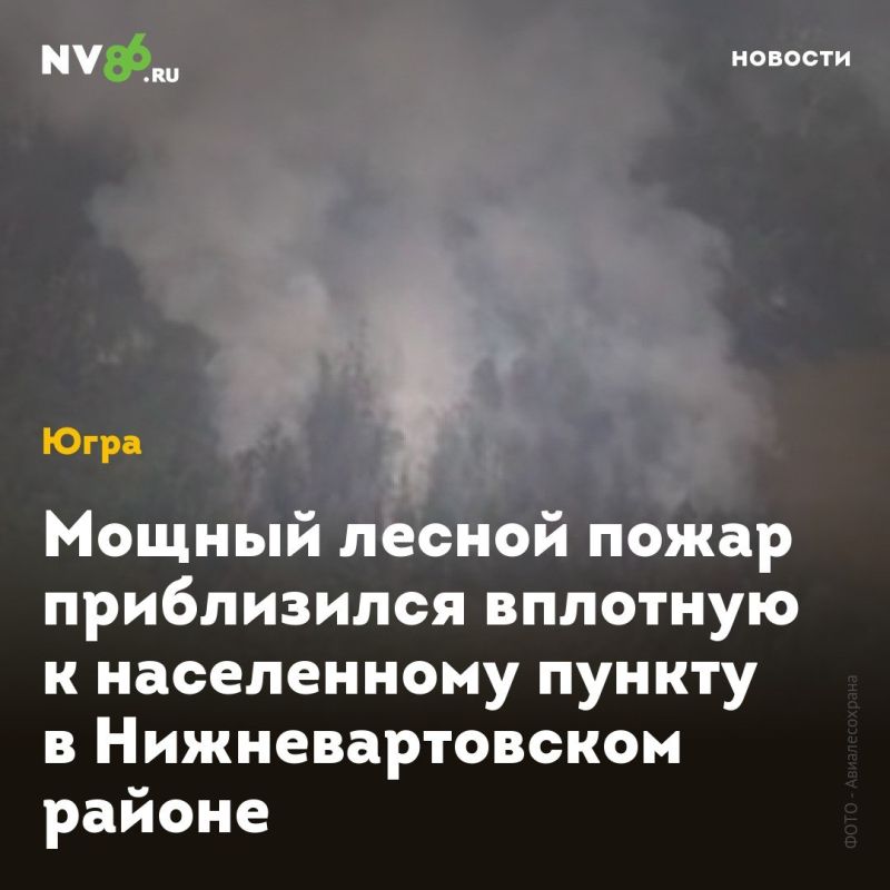 Мощный лесной пожар приблизился вплотную к населенному пункту в Нижневартовском районе