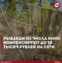Рыбаки из числа коренных малочисленных народов Севера смогут возместить часть затрат на приобретение материалов для изготовления рыболовных сетей