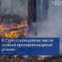 С 25 по 31 июля в Сургутском районе действует особый противопожарный режим