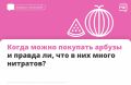 Сезон арбузов уже совсем скоро: август-сентябрь