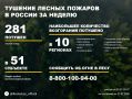 По данным Авиалесоохраны, подведомственной организации Рослесхоза, за прошедшую неделю потушен 281 лесной пожар в 35 регионах России