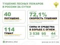�� ��������� ����� � 12 �������� ������ �������� 40 ������ �������