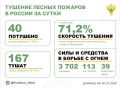За прошедшие сутки в 10 регионах России потушили 40 лесных пожаров