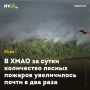 � ���� �� ����� ���������� ������ ������� ����������� ����� � ��� ����