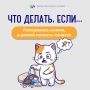 Продолжаем рубрику «Что делать, если…»