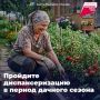 Пройдите диспансеризацию в период дачного сезона