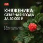 Её называют официальной ягодой Патриков