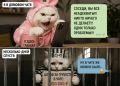 � ������ ������ ���������� �� �������� � ������� �����