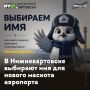 В Нижневартовске выбирают имя для нового маскота аэропорта
