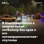 В Нижневартовске в аварию попал питбайкер без прав и его несовершеннолетняя спутница
