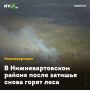 В Нижневартовском районе после затишья снова горят леса