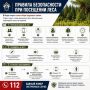 Следственное управление напоминает о мерах безопасности при посещении леса