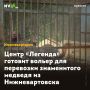 ����� �������� ������� ������ ��� ��������� ����������� ������� �� ��������������