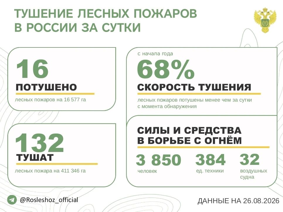 За прошедшие сутки в 10 регионах России потушили 16 лесных пожаров