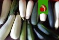 Как избежать горечи в кабачках: главные советы для огородников