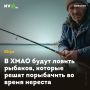 � ���� ����� ������ �������, ������� ����� ���������� �� ����� �������