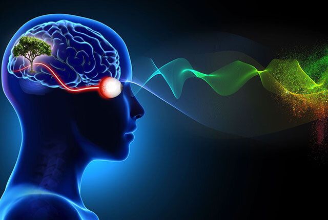 Как уровень IQ определяет наше мышление: мифы и реальность