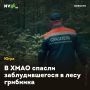 В ХМАО спасли заблудившегося в лесу грибника