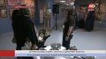 «Золото древней земли» показали в Ханты-Мансийске