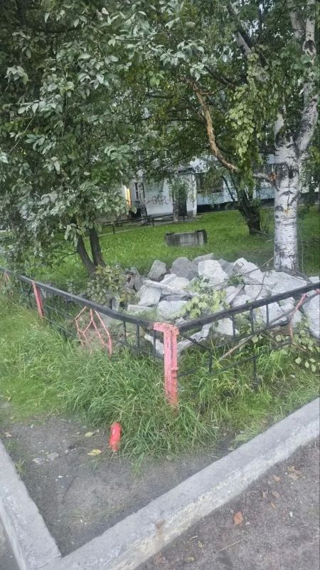 Зачем поломали деревья на перекрестке Чапаева и Мира, спрашивают подписчики