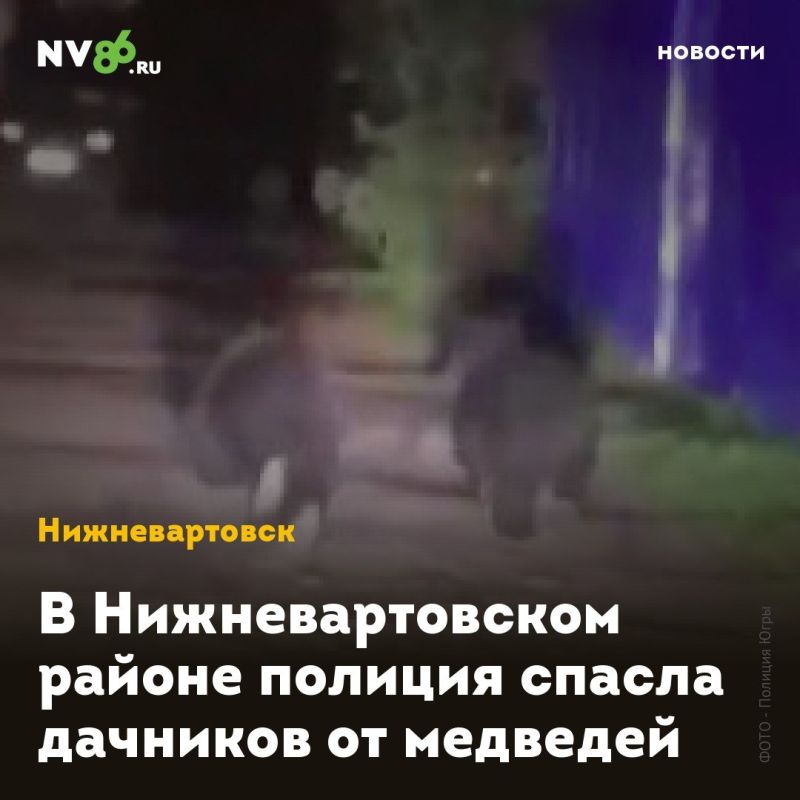 В Нижневартовском районе полиция спасла дачников от медведей