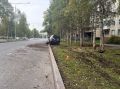 Гонщица на Крузаке вылетела с дороги в дерево