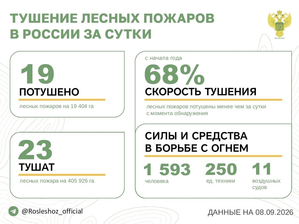 За прошедшие сутки в 10 регионах России потушили 19 лесных пожаров