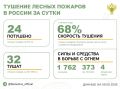 За прошедшие сутки в 10 регионах России потушили 24 лесных пожара