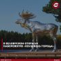 «Колыбель города» в Белоярском - набережная открыта!