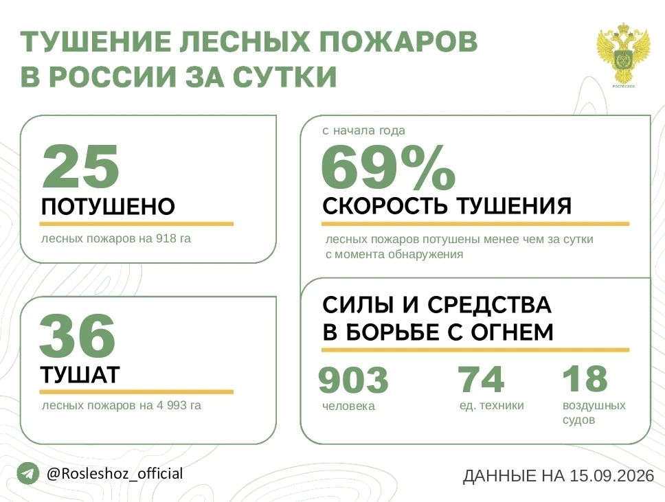 За прошедшие сутки в 11 регионах России потушили 25 лесных пожаров