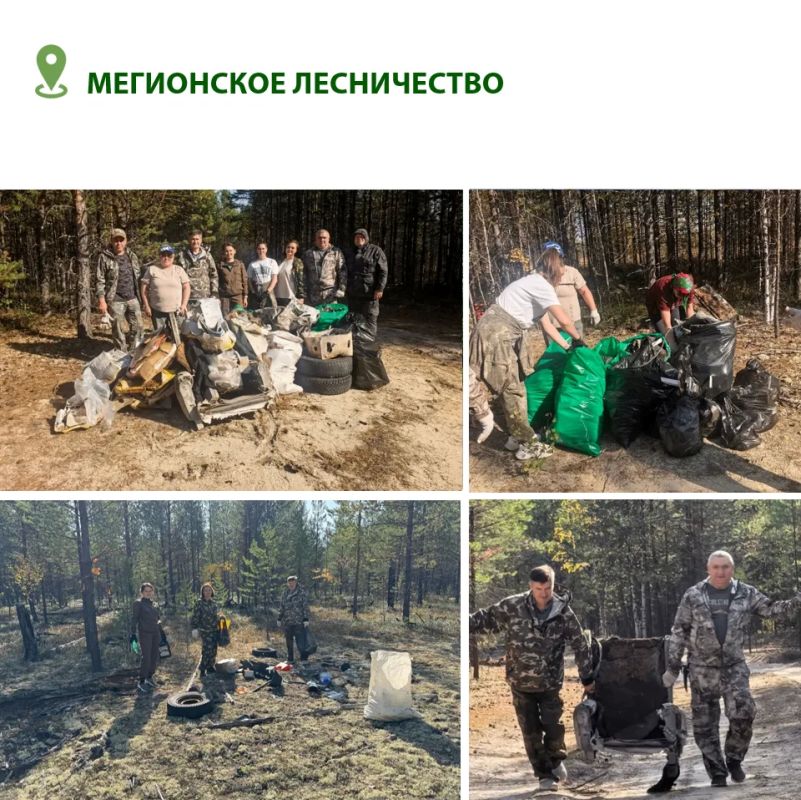 Чистый лес начинается с каждого из нас: в лесничествах Югры продолжается акция «Чистый лес» Чистый лес начинается с каждого из нас: в лесничествах Югры продолжается акция «Чистый лес»