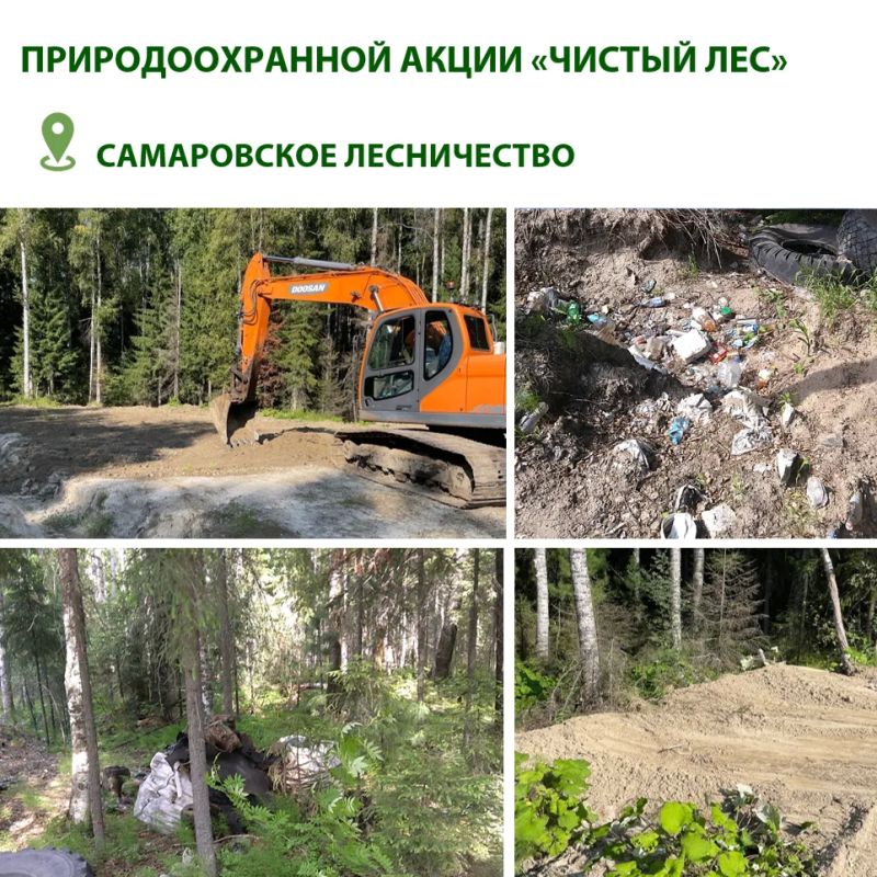 Чистый лес начинается с каждого из нас: в лесничествах Югры продолжается акция «Чистый лес» Чистый лес начинается с каждого из нас: в лесничествах Югры продолжается акция «Чистый лес»