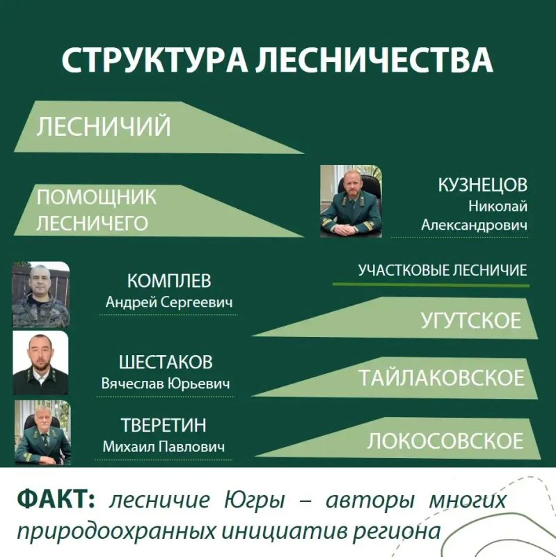 Юганское лесничество: история, люди и будущее лесного богатства Югры Юганское лесничество: история, люди и будущее лесного богатства Югры