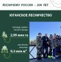 Юганское лесничество: история, люди и будущее лесного богатства Югры