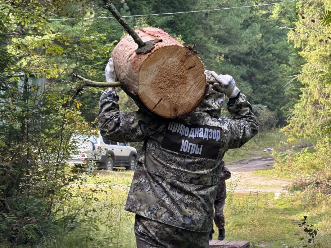 Очистка «Самаровского чугаса» продолжается Очистка «Самаровского чугаса» продолжается