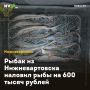 Рыбак из Нижневартовска наловил рыбы на 600 тысяч рублей