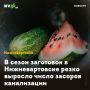 В сезон заготовок в Нижневартовске резко выросло число засоров канализации