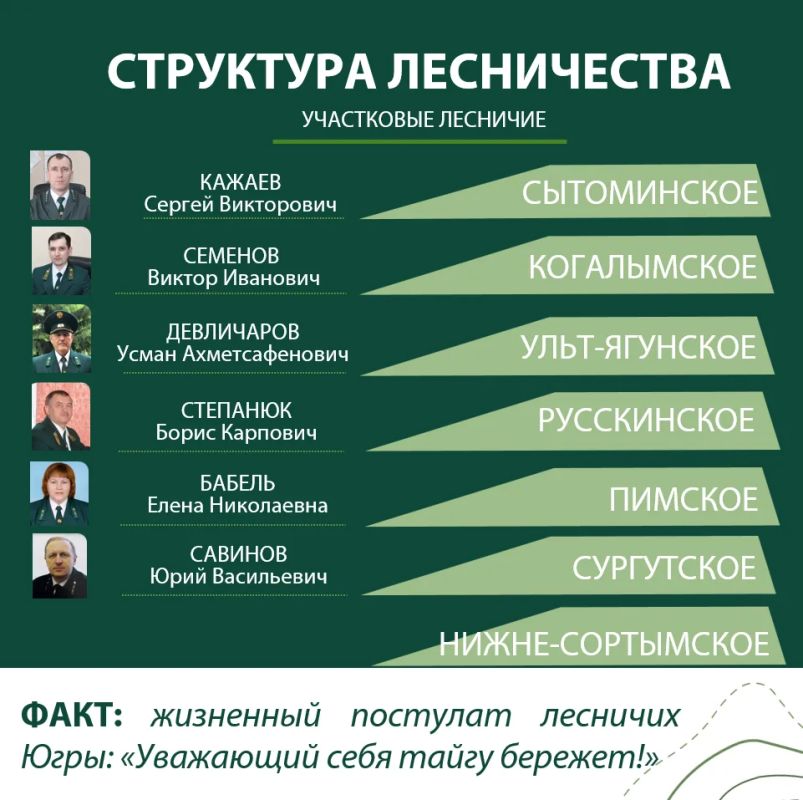 Хозяин тайги: 24 года службы лесничего Евгения Шабанова в Сургутском районе Хозяин тайги: 24 года службы лесничего Евгения Шабанова в Сургутском районе