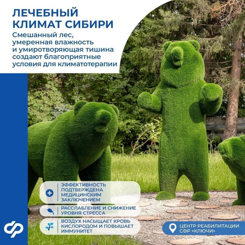 Как проходит комплексная реабилитация в Сибири? Как проходит комплексная реабилитация в Сибири?