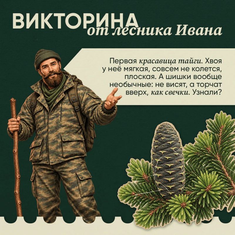 Проверьте свои знания о лесе – викторина от лесника Ивана