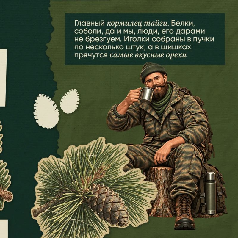 Проверьте свои знания о лесе – викторина от лесника Ивана Проверьте свои знания о лесе – викторина от лесника Ивана