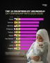 Россия стала самой кошачьей страной в мире