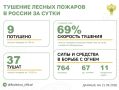За прошедшие сутки в 7 регионах России потушили 9 лесных пожаров