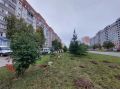 В Нижневартовске продолжается осенняя кампания по озеленению
